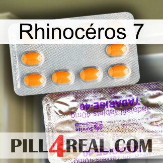 Rhinocéros 7 new12